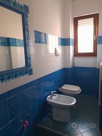 Vendita appartamento