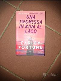 Una Promessa In Riva Al Lago