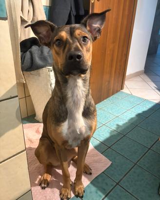 Lea cucciola dolcissima