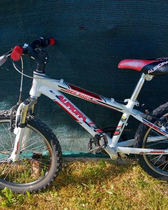 bicicletta mtb