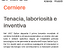 Immagine 6