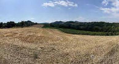 Immobile in asta di 63140 m² con più di 5 locali a