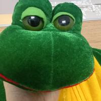 Costume carnevale da ranocchio