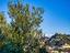 Immagine 12