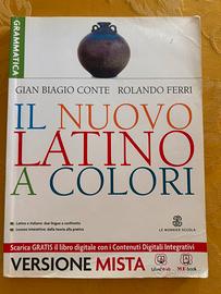 Libro grammatica latina biennio