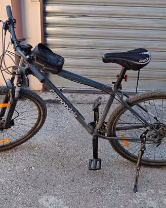 Bicicletta mtb Cannondale Trail 6 29" Grey tg. L