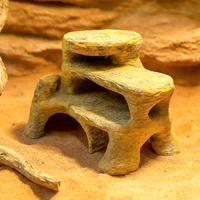 Grotta tana per terrario teca, spedisco