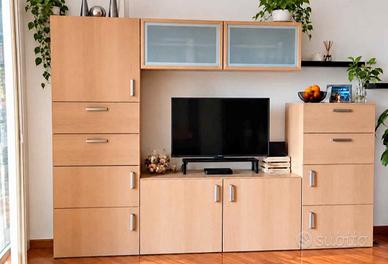 MOBILE CONTENITORE, TV