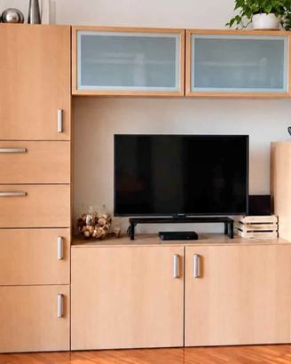 MOBILE CONTENITORE, TV