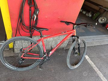 bici cannondale mtb
