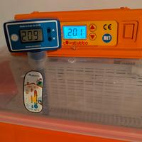 INCUBATRICE COVATUTTO  54 NOVITAL AUTOMATICA SENZA