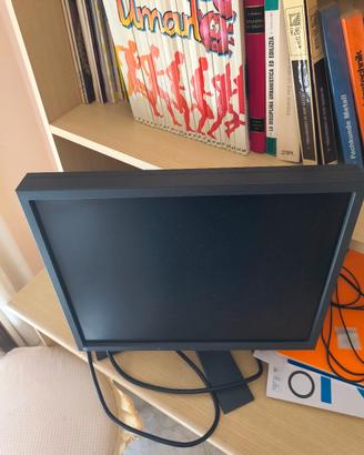 monitor eizo 15 pollici 