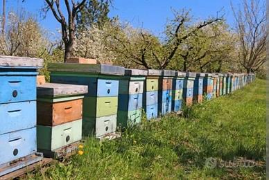 Terreno per apiario