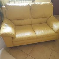 Divano in pelle 2 posti