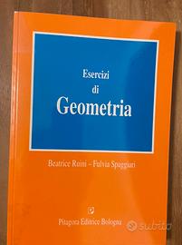 Esercizi di Geometria Ruini Spaggiari