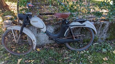 ciclomotore gloria pulcino e vittoria 