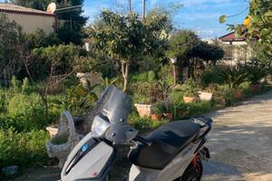 liberty 50 sport iget 