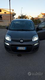 Fiat Panda 1.2 Benzina/Gpl