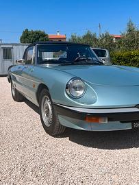 Alfa romeo spider
