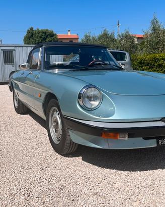 Alfa romeo spider
