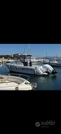 Barca Quicksilver Commander 900