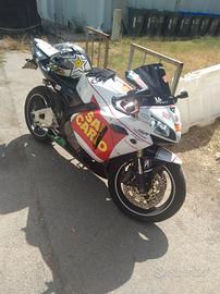 Honda CBR 600 - 2005
