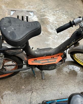 Califfone 50 cc