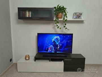 Mobile TV