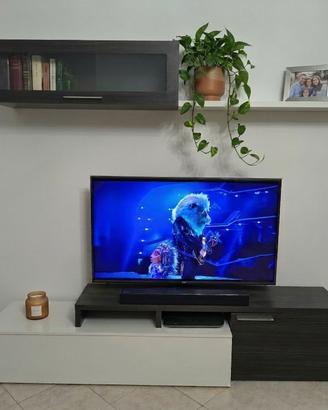 Mobile TV