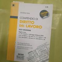 Compendio di diritto del lavoro