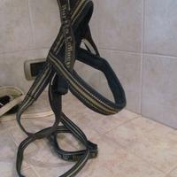 Pettorina  norvegese Hurtta