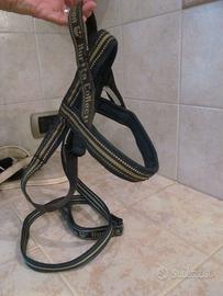 Pettorina  norvegese Hurtta