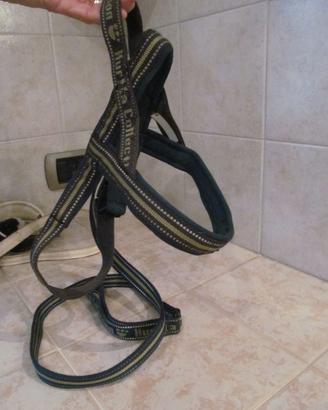 Pettorina  norvegese Hurtta