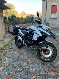 Benelli trk502x 2022