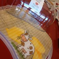 Contenitore per formaggi nuovo 