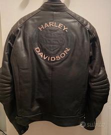 Giacca pelle Harley-Davidson 