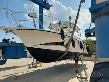 Fisherman Luhrs 29 come nuovo - Prezzo di Realizzo