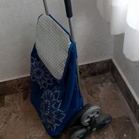 Carrello per la spesa