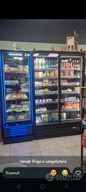 frigo e congelatore