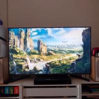 Sony tv 49xh95 FALD
