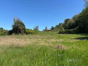 Trilocale di 80 mq in villa con terreno