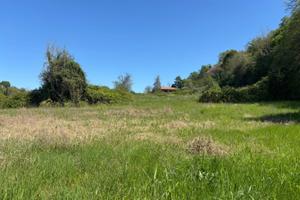 Trilocale di 80 mq in villa con terreno