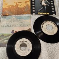 Dischi 45 giri (7") musica italiana (da € 8)