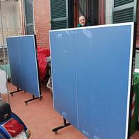 Ping pong professionale