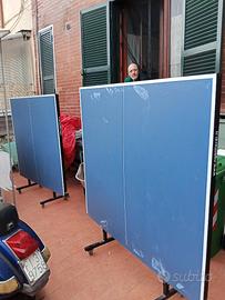 Ping pong professionale