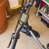 Bicicletta elettrica