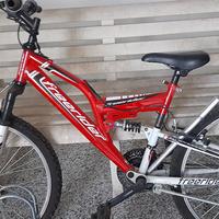 bicicletta ragazzo