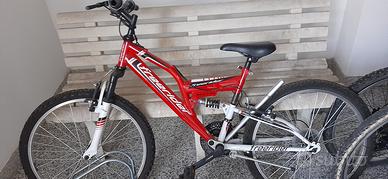 bicicletta ragazzo