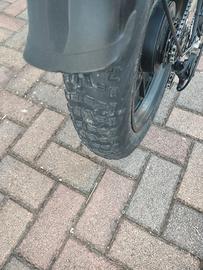 bici elettrica 