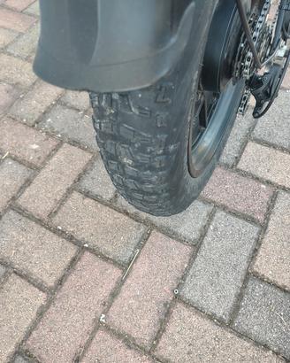 bici elettrica 